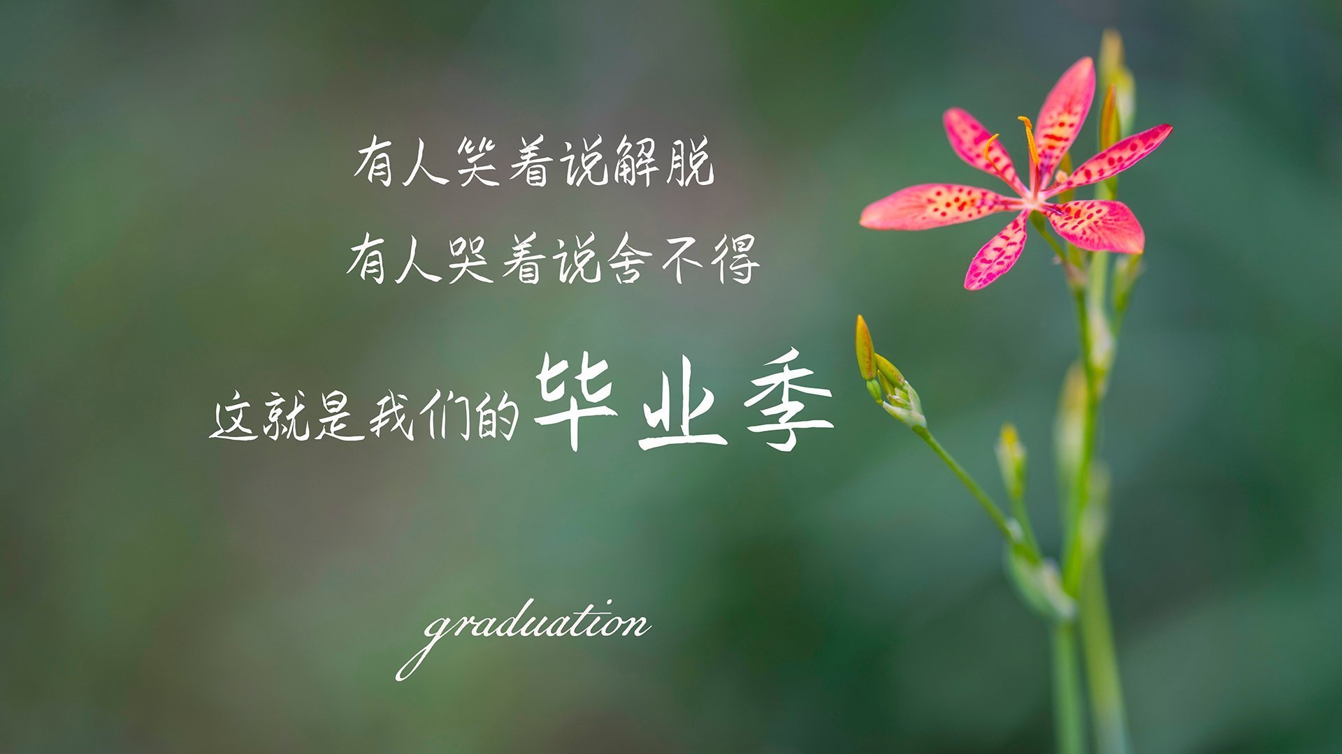 中国女篮加强体能训练 提升比赛持续作战能力,2021年6月中国女篮训练