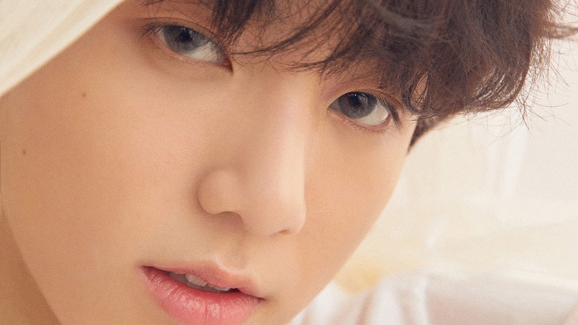 美澳蝶泳划频与配速同步性更强