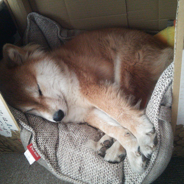 运动科技成果转化加速提升训练效率，运动训练科学化进展与启示