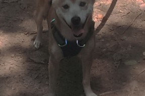 爱游戏平台-世界杯中国女足晋级 球迷齐声喝彩，中国队女足世界杯