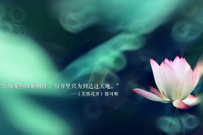 爱游戏体验-“尼古拉斯·桑特基的精湛技巧与领导力，成就阿根廷美洲狮队的未来”