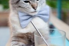 爱游戏体育app-“马科斯·梅特罗：阿根廷美洲狮队的后防核心，突破性表现持续发力”