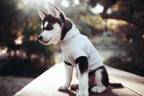 爱游戏电竞官方网站-中超联赛国家队逆袭 球迷激情再被点燃，中超足球赛国足