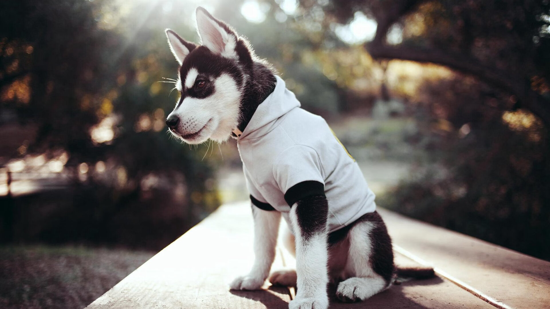 中超联赛国家队逆袭 球迷激情再被点燃,中超足球赛国足