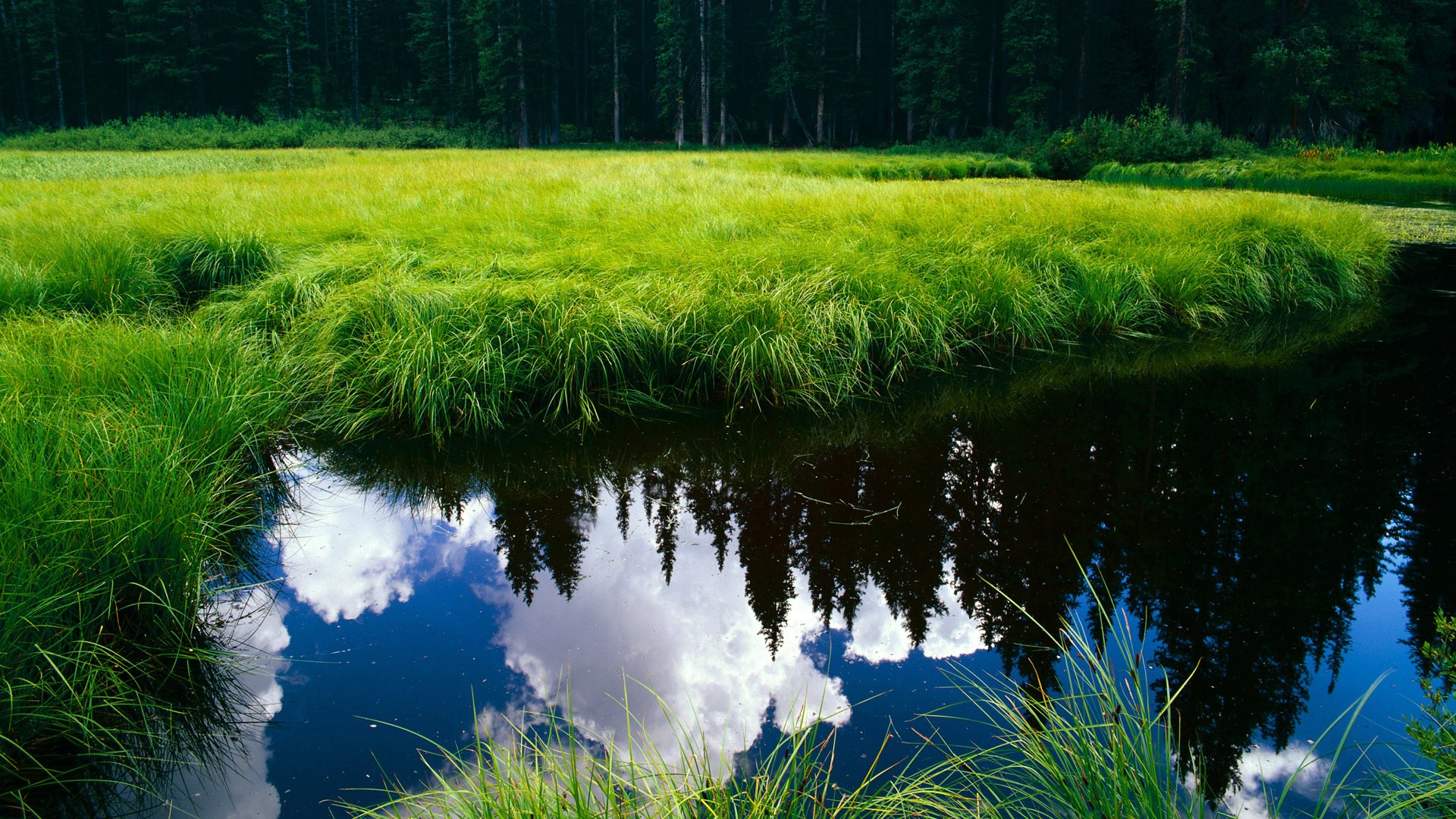 外线球员在快节奏中如何选择持球节奏方式,外线球员dpoy